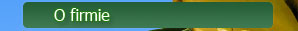 O firmie